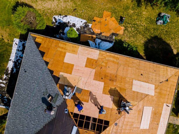 Best Roof Gutter Cleaning  in Mansfield, LA