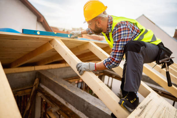 Best Roof Gutter Cleaning  in Mansfield, LA