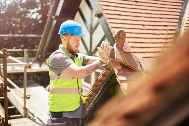 Best Roof Maintenance Services  in Mansfield, LA